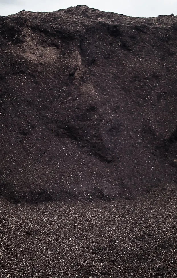 Premium Soil Blend