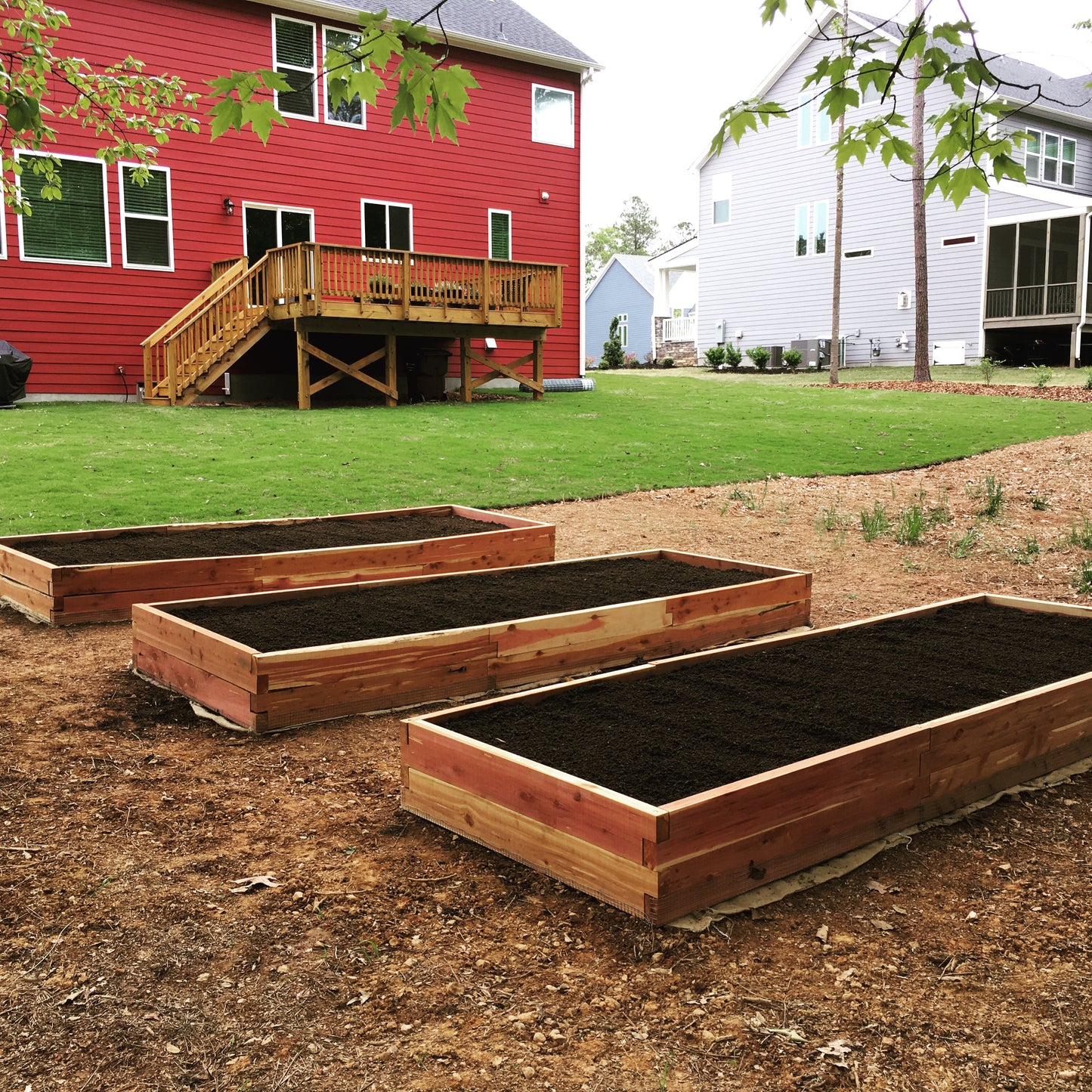 Classic 12" Tall Cedar Raised Garden Box